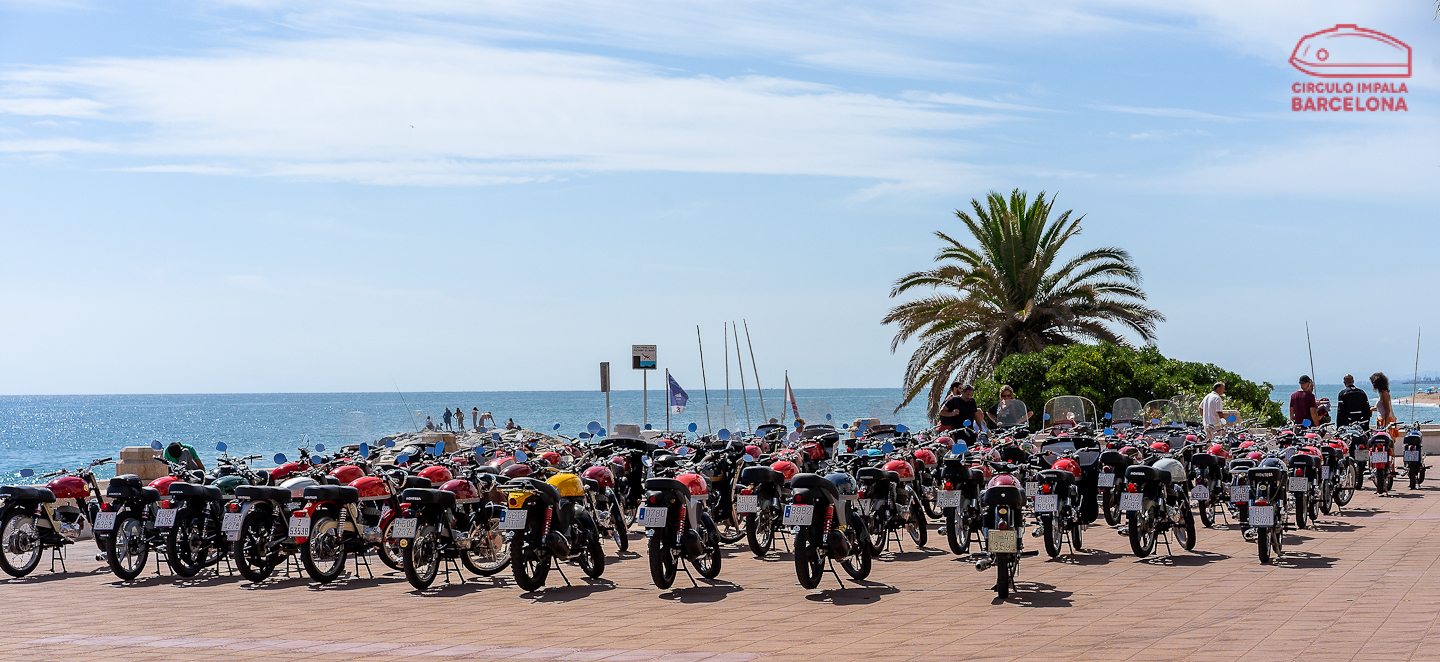 16_09_cib23_esbi_071
